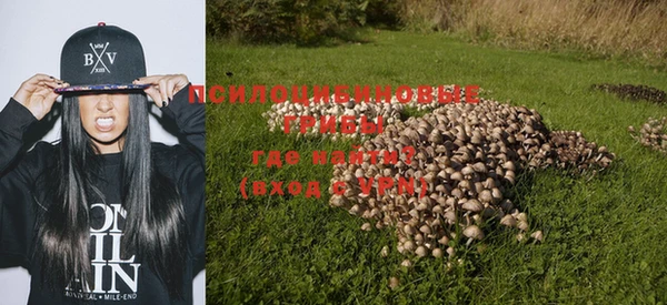 дмт Богородицк