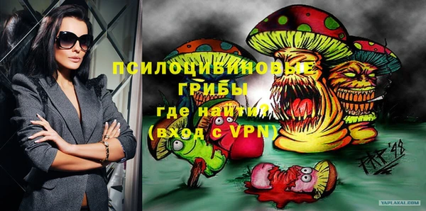 дмт Богородицк