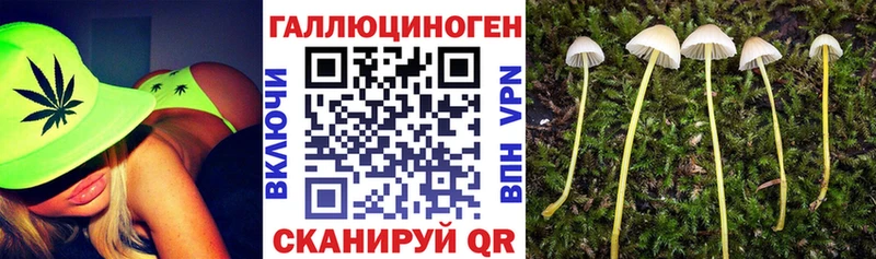 Галлюциногенные грибы прущие грибы  omg как зайти  даркнет телеграм  Вязники 